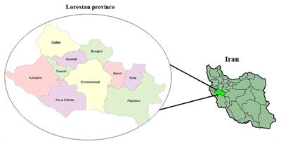 Prevalence, socio-economic, and associated risk factors of oral cavity parasites in children with intellectual disability from Lorestan province, Iran